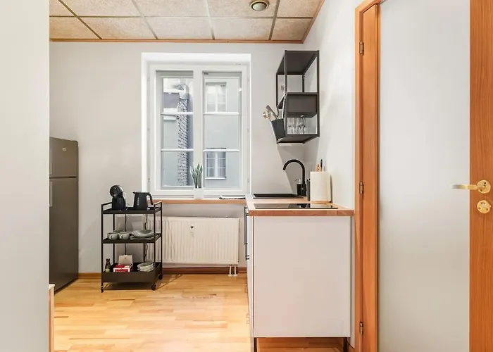 Cozy 2br Oldtown Rooftop Views * Tallinn