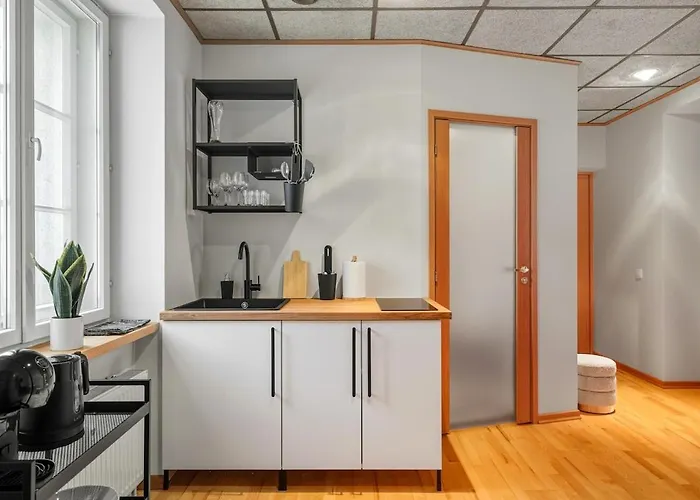 Daire Cozy 2br Oldtown Rooftop Views Tallinn