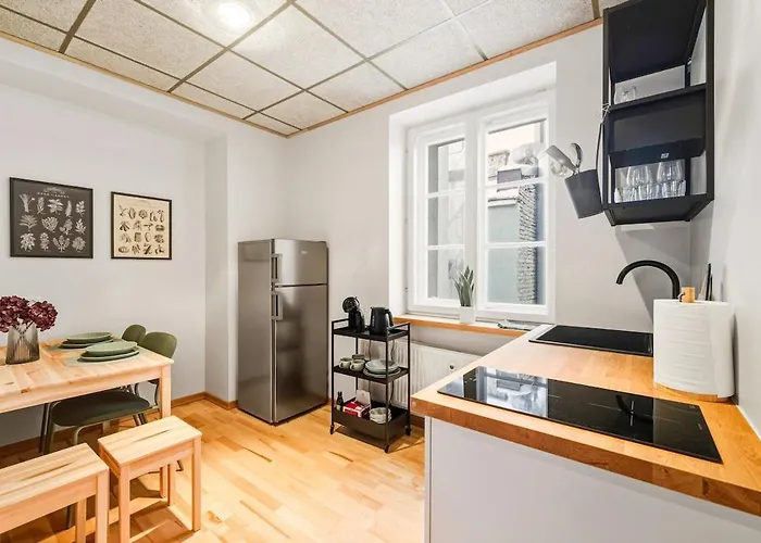 Cozy 2br Oldtown Rooftop Views Appartement Tallinn